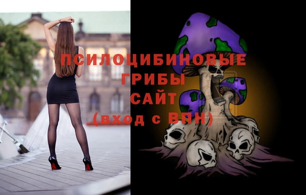 дживик Абинск