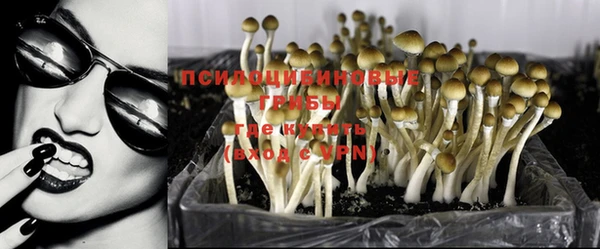 синтетический гашиш Алексеевка
