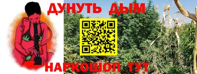 ПСИЛОЦИБИНОВЫЕ ГРИБЫ Среднеуральск