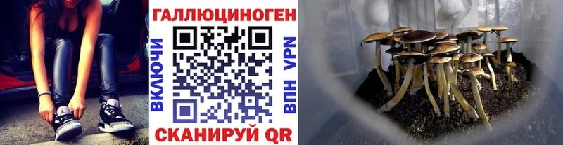 Галлюциногенные грибы прущие грибы  где купить наркоту  Саянск 