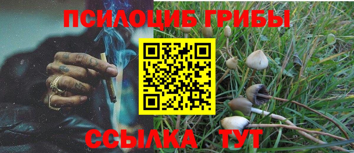 Галлюциногенные грибы GOLDEN TEACHER Саянск