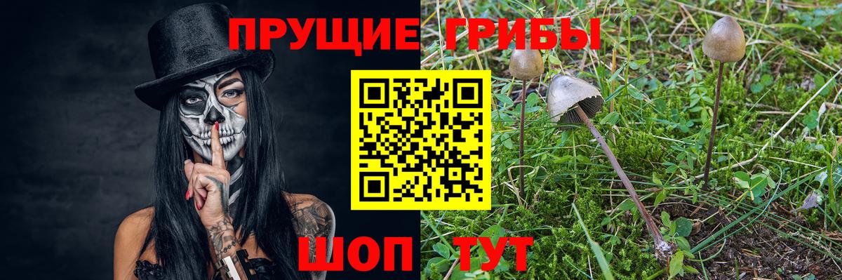 Саянск  Галлюциногенные грибы GOLDEN TEACHER  Вход с VPN 